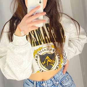 The cropped sweatshirt
